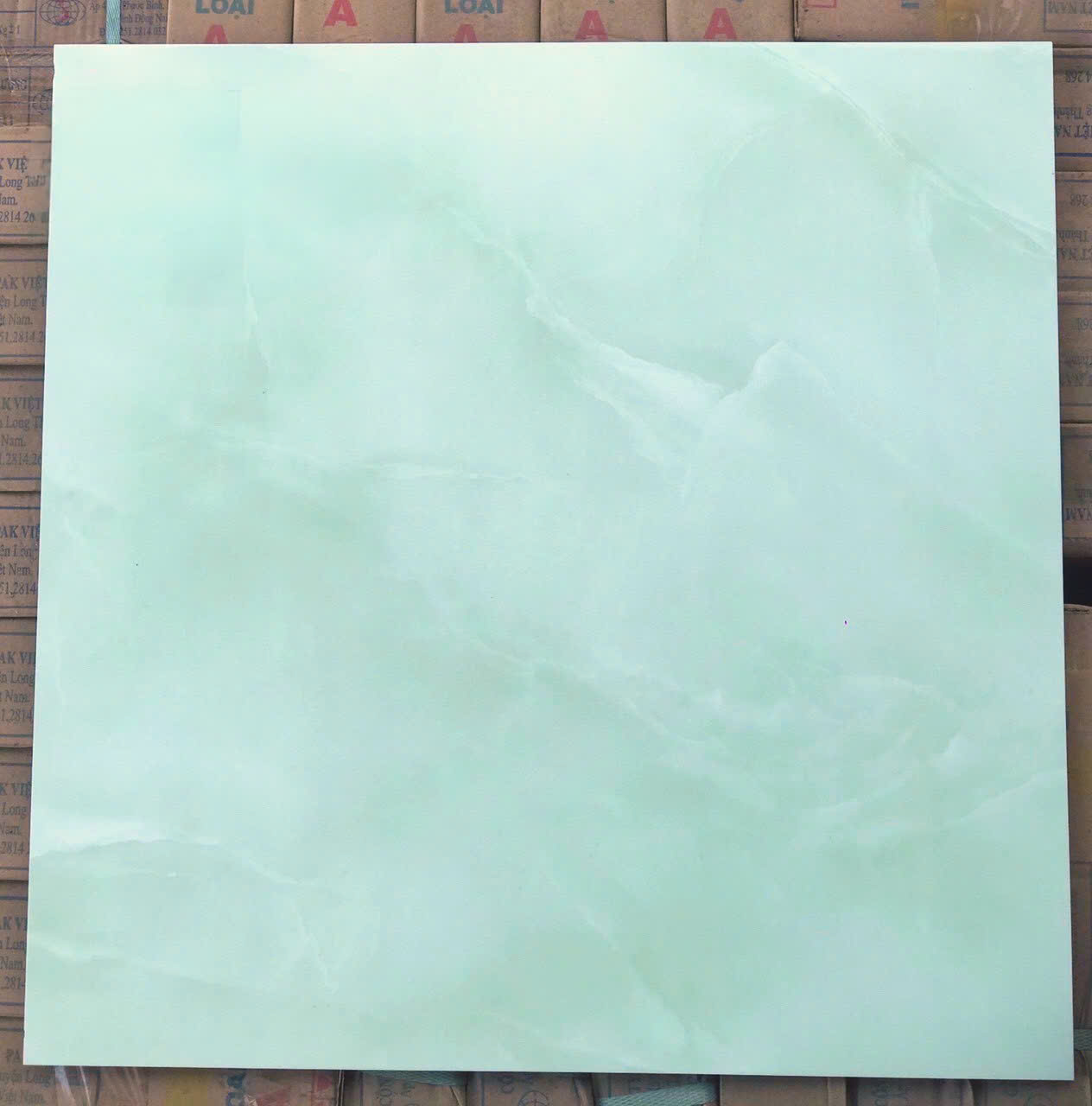 Gạch ốp lát 50x50cm Vicera-4525